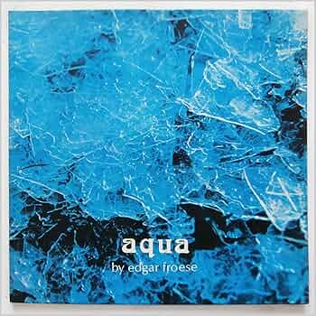 ミュージシャン AQUA Gibson Custom Shop Tak Matsumoto DC Standard Aqua Blue 2nd